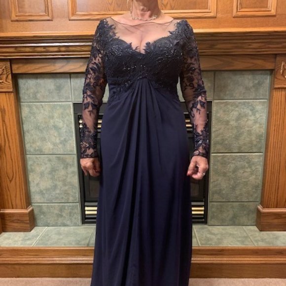 Classy Navy Sheer with Brading and lacework - Picture 1 of 3